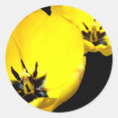 Zoek naar gele tulpen stickers Lente