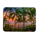 Zoek naar strand magneten Landschap