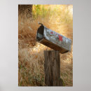 Zoek naar brievenbus kunst Platteland