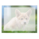 Zoek naar corgi notitieblokken Puppy