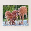 Zoek naar geur puzzels Dieren in het wild