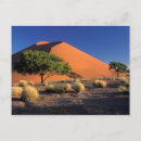 Zoek naar namib posters Sossusvlei