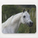 Zoek naar headshot muismatten Arabisch