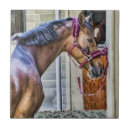 Zoek naar paarden tegels Equine