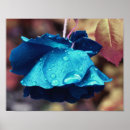 Zoek naar blauwe regen posters Voor haar