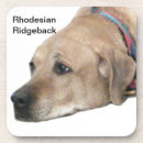 Zoek naar ridgeback onderzetters Hondenliefhebber