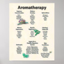 Zoek naar aromatherapy Wellness