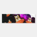 Zoek naar katten bumperstickers Grappig