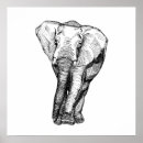 Zoek naar zwart wit dier posters Voor iedereen