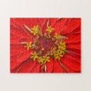 Zoek naar close up puzzels Voor iedereen