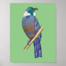 Zoek naar new zealand kunst Vogel