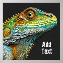 Zoek naar leguaan posters Dieren