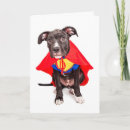 Zoek naar helden kaarten Humor