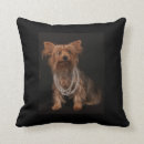 Zoek naar yorkie kussens Honden