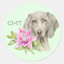 Zoek naar weimaraners stickers Weimarant