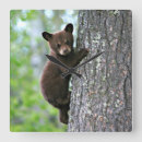 Zoek naar boom klokken Schattig