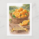 Zoek naar florida sinaasappels briefkaarten Citrus