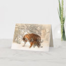 Zoek naar tijgers kaarten Voor iedereen