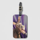 Zoek naar ezel geschenken Elk persoon