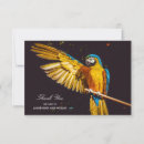 Zoek naar ara papegaai kaarten Vogel