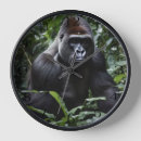 Zoek naar gorilla kunst Band