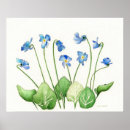 Zoek naar blauwe viooltjes posters Elk persoon