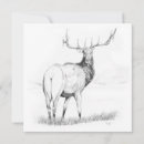 Zoek naar eland briefkaarten Illustratie