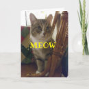 Zoek naar grappige muis kaarten Kitten