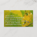 Zoek naar robots visitekaartjes Elk persoon