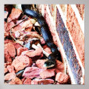 Zoek naar slang kunst Rustisch