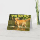 Zoek naar golden retriever verjaardagskaarten Gouden opvrager