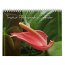 Zoek naar tropisch kalenders Fotografie