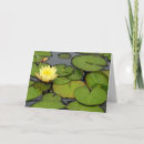 Zoek naar waterlelie vijver kaarten Bloem