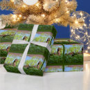 Zoek naar kuikens cadeaupapier Natuur