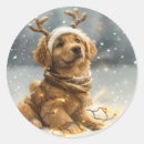 Zoek naar cartoon rendier stickers Sneeuwvlokken