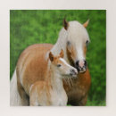 Zoek naar paarden puzzels Schattig