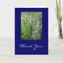 Zoek naar kruiden kaarten Fotografie