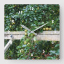 Zoek naar perenboom kunst Vruchten