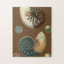 Zoek naar zeeschelp puzzels Oceaan