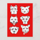 Zoek naar bull terrier briefkaarten Pitbull