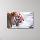 Zoek naar tijger hoofd kunst Wild