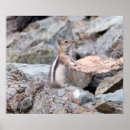 Zoek naar mantel posters Natuur