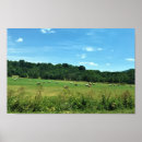 Zoek naar hooi balen posters Natuur