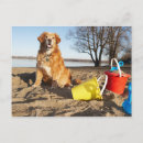 Zoek naar hond portret briefkaarten Horizontaal