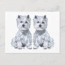 Zoek naar west highland white terrier Huisdieren