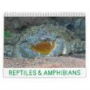 Zoek naar reptielen kalenders Amfibieën