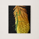 Zoek naar bidden puzzels Insect