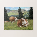 Zoek naar koeien puzzels Runderen