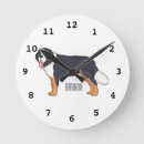 Zoek naar bernese klokken Hond