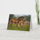 Zoek naar merrie kaarten Paard